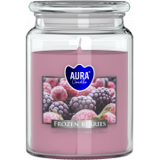 Sv��ka Frozen Berries 500 g